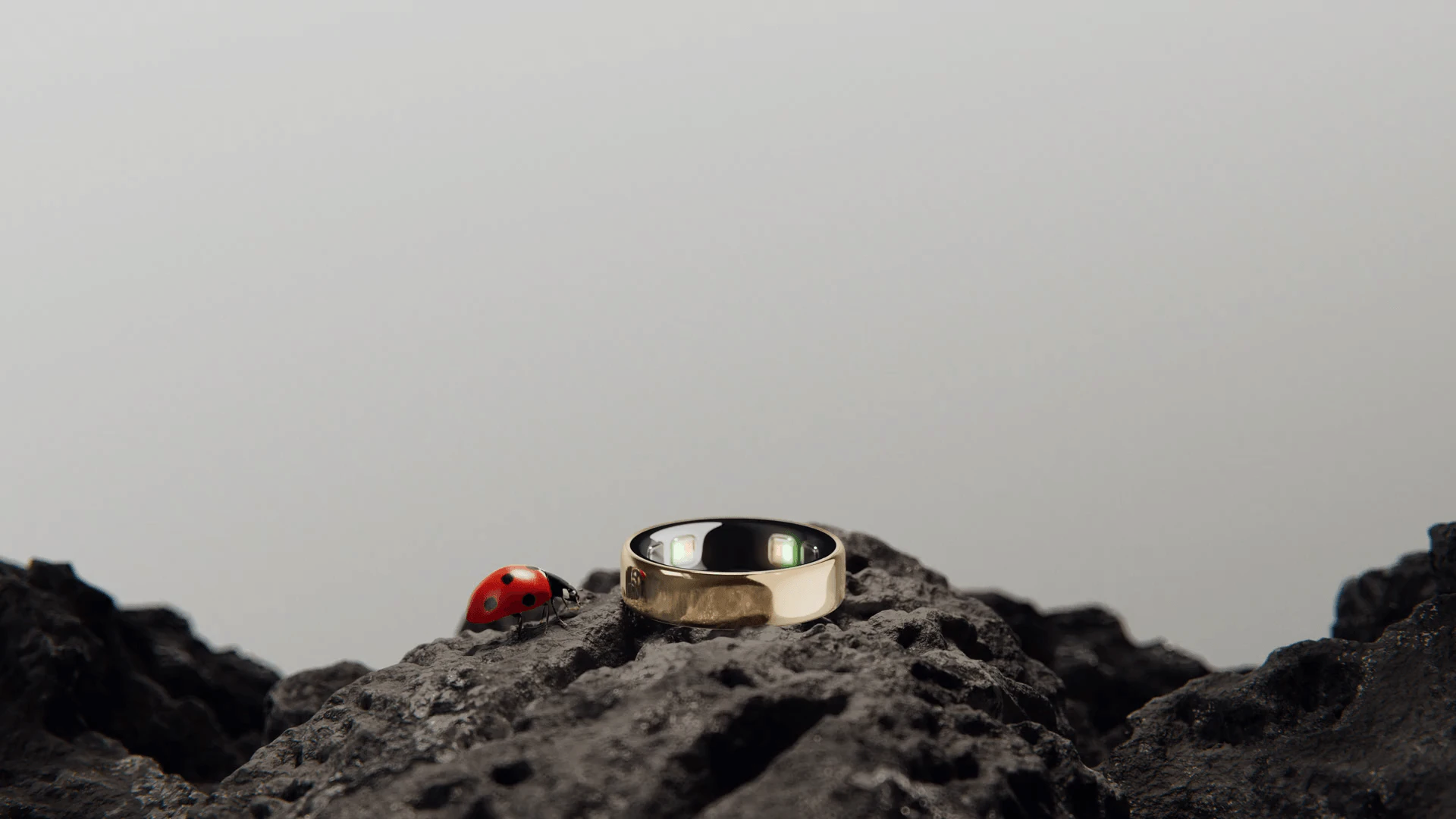 A gold smart ring and a ladybug on dark rock, with gray sky above